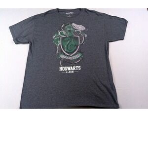Harry Potter Slytherin Hogwarts Alumni Graphic T-Shirt Charcoal Grey XL